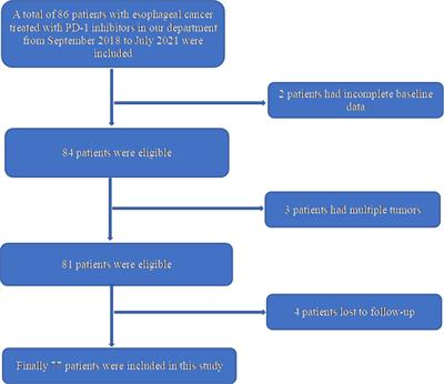 Real-world experience with anti–programmed cell death protein 1 immunotherapy in patients with esophageal cancer: A retrospective single-center study